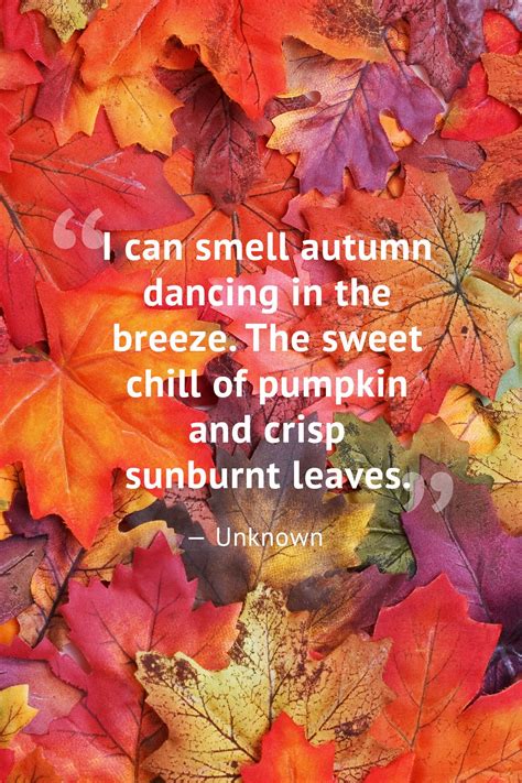 autumn weather quotes|short quotes about fall.